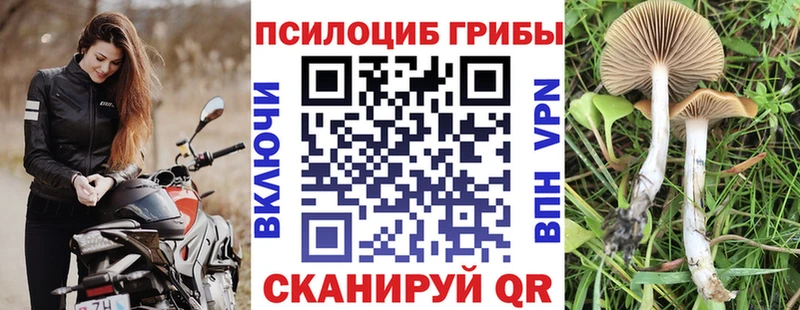 Псилоцибиновые грибы мухоморы дарнет шоп Луза