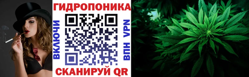 Бошки марихуана ГИДРОПОН  как найти   Луза 